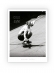 Cold Annual Book 2023 - 50/50 Igualdade